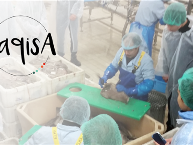 Inuussutissarsiutinik ingerlataqartut QAQISA pisariaqartippaat